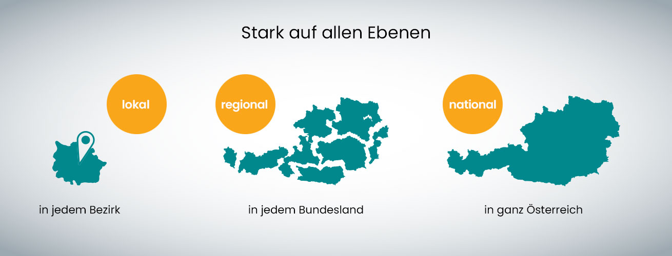 Regionalmedien Austria (RMA): Struktur (lokal, regional, national)
